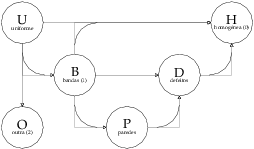  tiposdetrans.1 